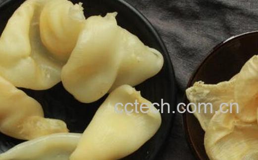 鲈鱼的营养价值及功效及禁忌-1