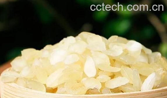 女人吃皂角米的坏处 女人吃皂角米的禁忌-0