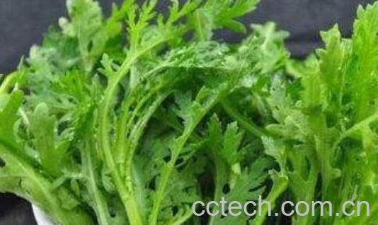 女人吃茼蒿有什么好处-1