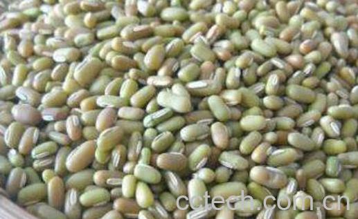 竹豆怎么吃比较好 竹豆的食用方法-0