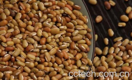 竹豆怎么吃比较好 竹豆的食用方法-1