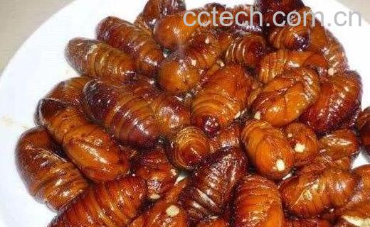 男性吃蚕蛹的好处与坏处-1