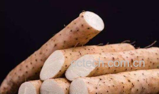 毛薯和山药的区别 吃毛薯的好处-1