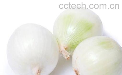 白洋葱和红洋葱的区别-0