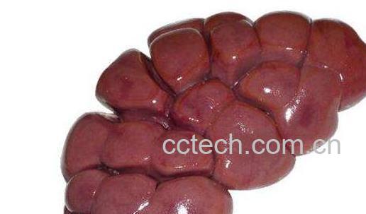 牛腰子为什么没人吃 牛腰子的害处-0