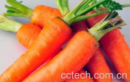 生吃胡萝卜的功效和作用-0