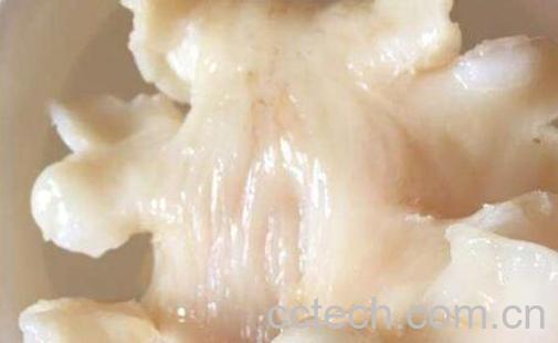 鳕鱼胶泡发的正确方法-0