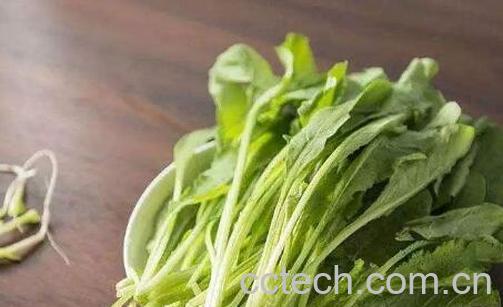 小萝卜缨的功效和营养-0