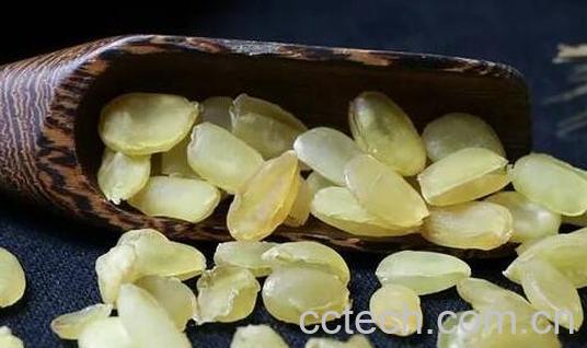 皂角米服用禁忌 吃皂角米的好处-1