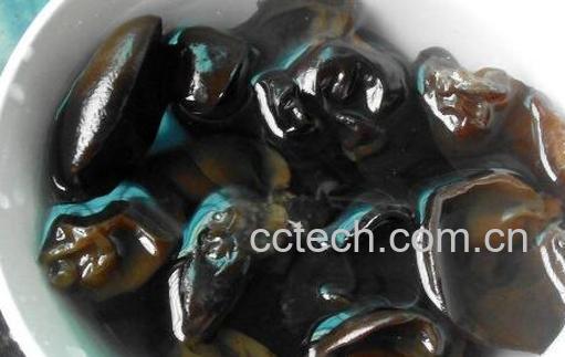 正确泡发木耳的方法 泡干木耳的正确方法-0