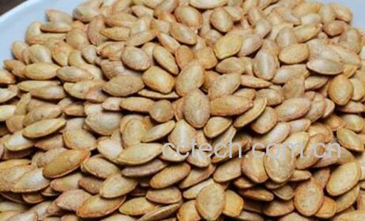 熟南瓜子的功效与作用-0