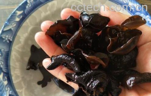 正确泡发木耳的方法 泡干木耳的正确方法-1