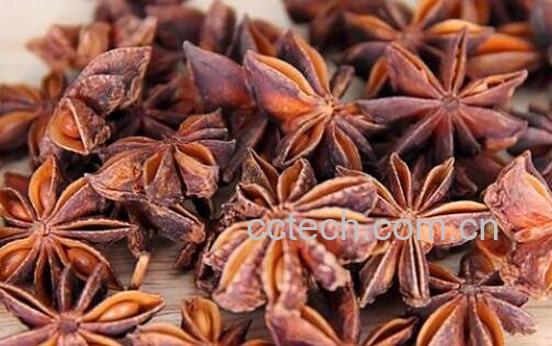 大料是什么 大料和八角有区别吗-1