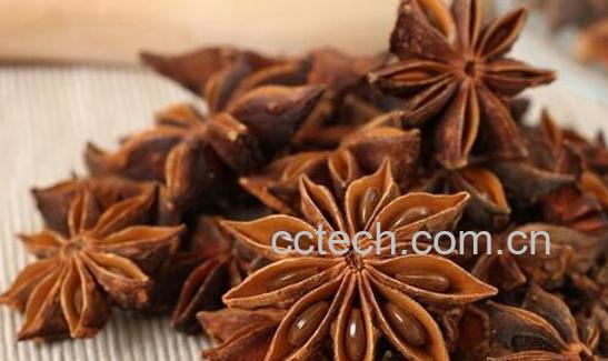 大料是什么 大料和八角有区别吗-0