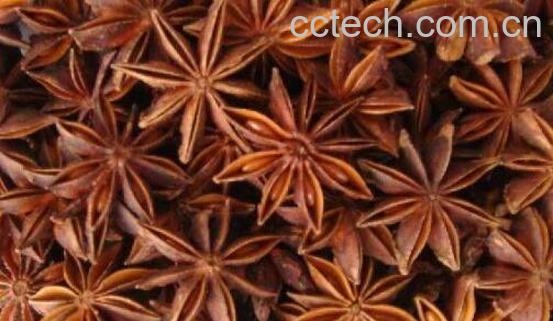 大茴香的功效与作用 吃大茴香的好处-0