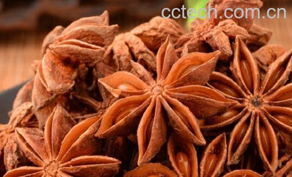 大茴香的功效与作用 吃大茴香的好处-1