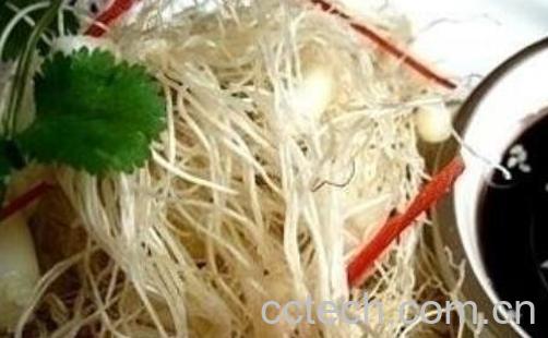 葱根煮水的功效与禁忌-0