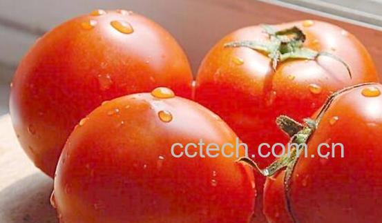 促消化的食物有哪些 吃什么食物促进消化-1