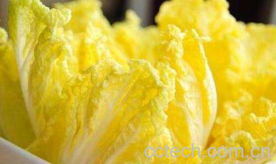 娃娃菜和大白菜的区别-1