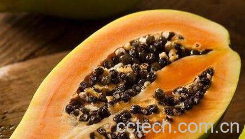 促消化的食物有哪些 吃什么食物促进消化-0