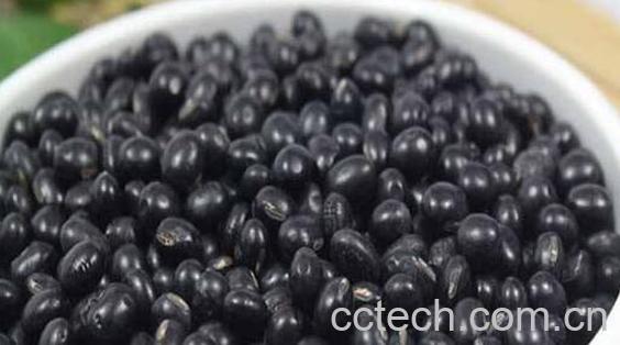 醋泡黑豆的功效与作用 吃醋泡黑豆的好处-0