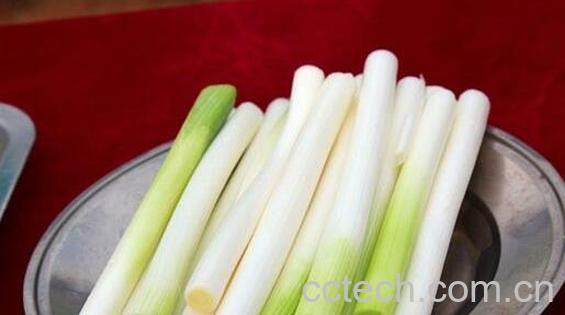 葱白的营养价值 葱白的功效与作用-0