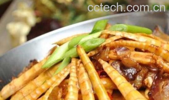 春笋怎么做才好吃 春笋的食用方法大全-0