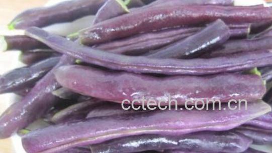 紫皮芸豆的功效与作用-1