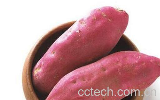 吃红薯犯4个禁忌会短命-0