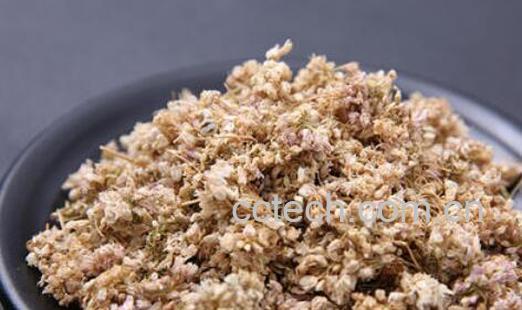 扎蒙花怎么用来炒菜 扎蒙花的吃法-1