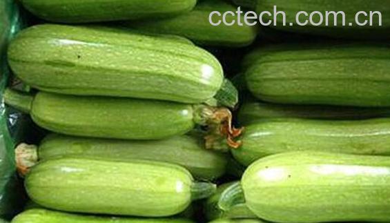 番瓜有什么功效与作用 吃番瓜的好处-0