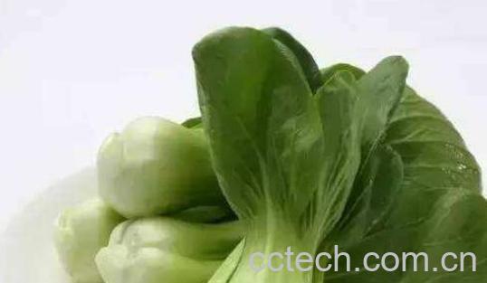 吃油菜的好处和坏处-1