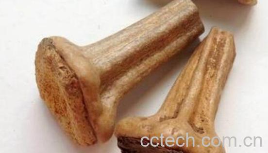 南瓜蒂熬水的功效与作用-1