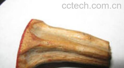 南瓜蒂熬水的功效与作用-0