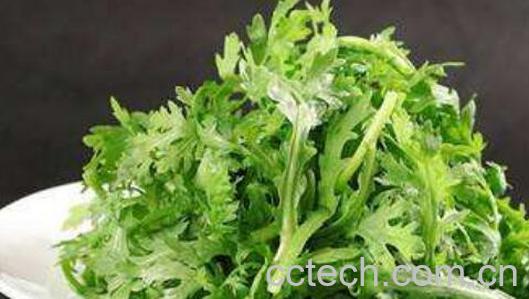 蒿子油的功效与作用-0