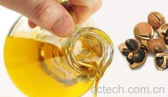 长期吃茶油的坏处 茶油吃多了有什么副作用-1