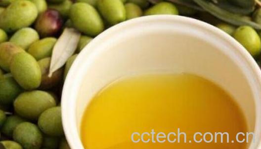 茶油的正确食用方法-0