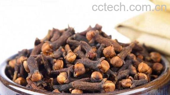 母丁香在卤水中的作用-1