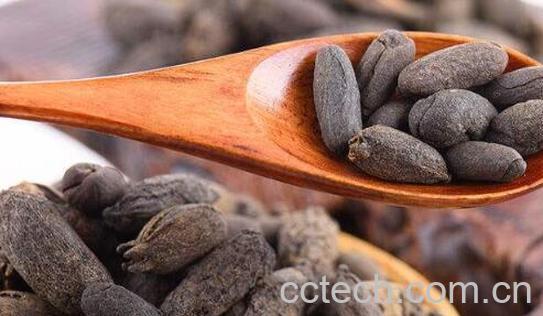 母丁香在卤水中的作用-0