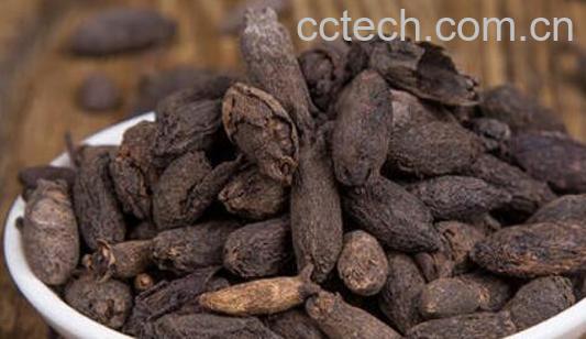 母丁香在调料中的作用 母丁香的功效-0