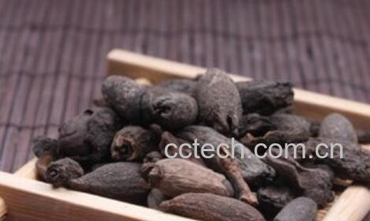 母丁香在调料中的作用 母丁香的功效-1