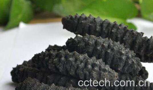 黑海参的功效与作用 黑海参的食用方法-0