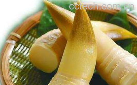 春笋和冬笋的区别-1