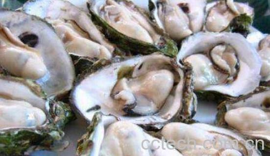 牡蛎怎么做好吃 牡蛎的最佳吃法-0
