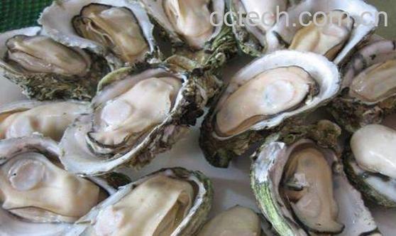 牡蛎怎么做好吃 牡蛎的最佳吃法-1