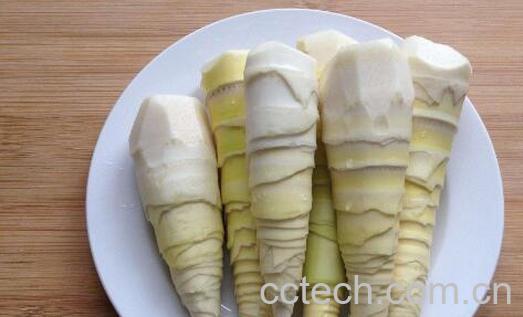 春笋怎么挑 挑选春笋的方法技巧-1