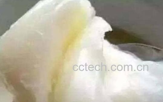 动物油和植物油的区别-1