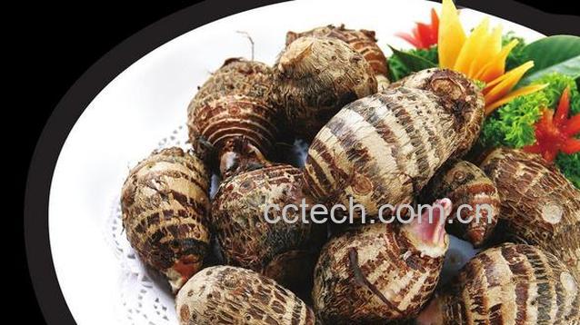 果蔬百科槟榔芋头的营养价值-0