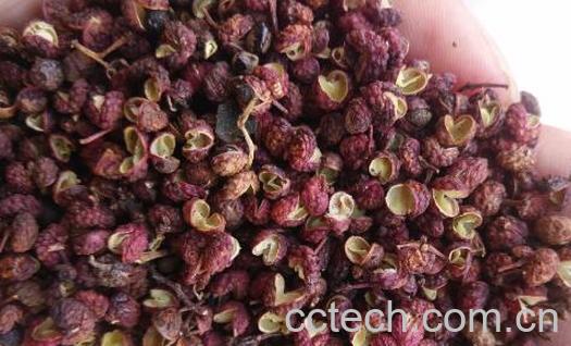 川椒的功效与作用及禁忌-0