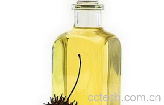 果蔬百科蓖麻油的功效与作用-0